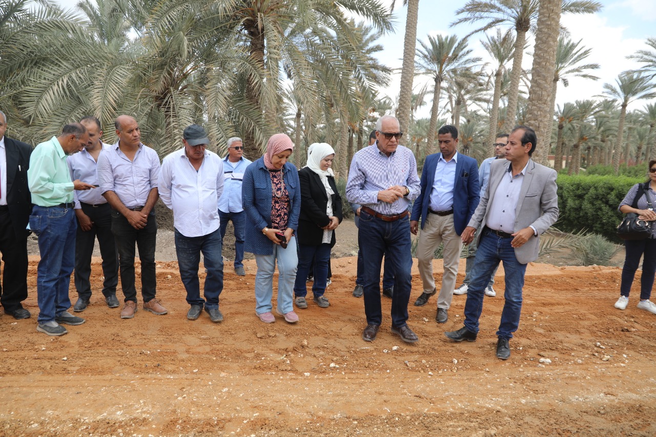 محافظ الجيزة يتفقد أعمال تطوير طريق سقارة السياحي بطول ١،٥ كم 