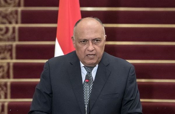 سامح شكرى  