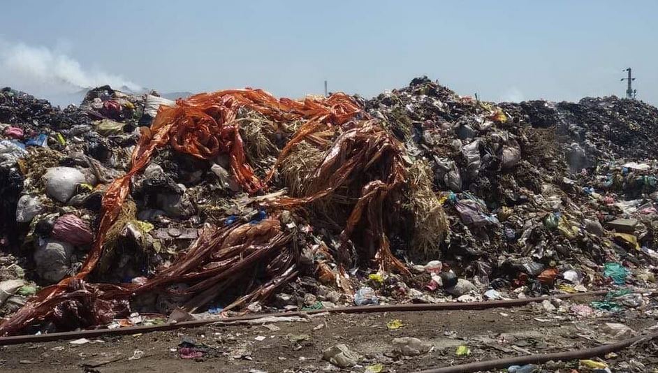  تلال القمامه تحيط بقريه دفره بمحافظه الغربيه وتنشر الأمراض والأوبئة 