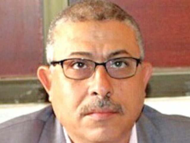 تضم 3 ملايين نخلة.. الوادي الجديد عاصمة التمور المصرية