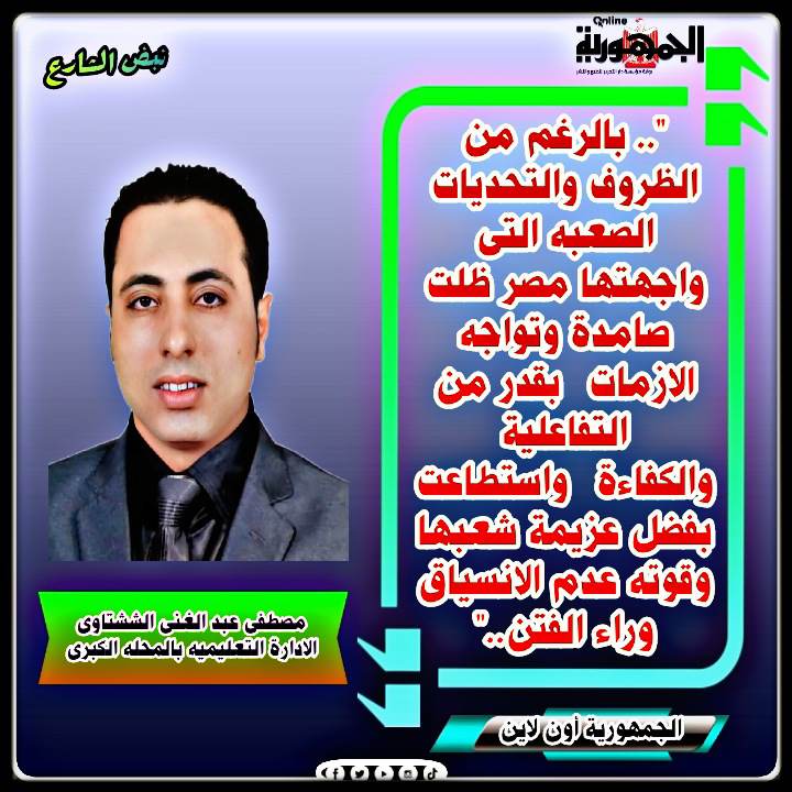 مصطفى عبد الغنى الششتاوى