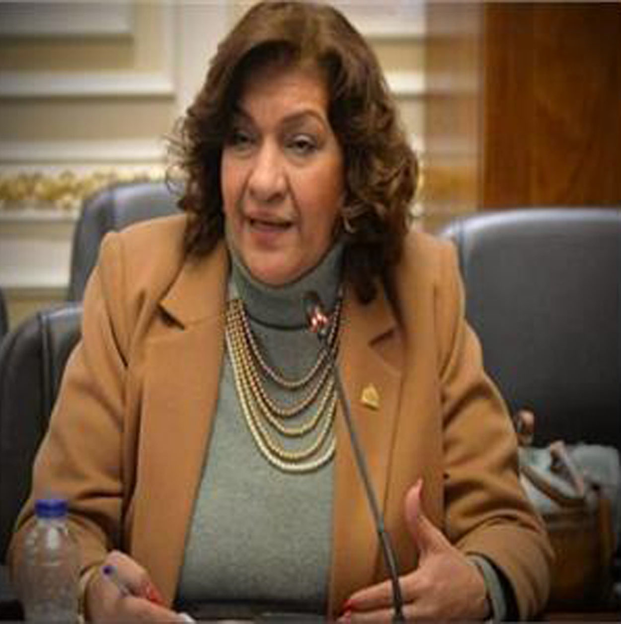 النائبة إيفلين متي