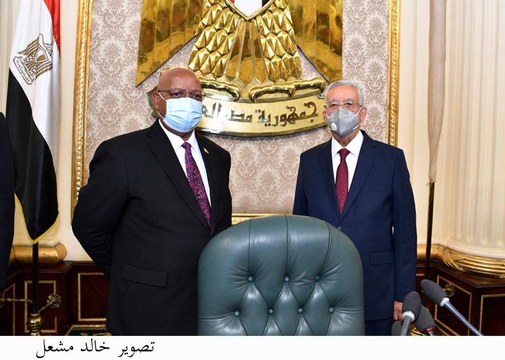 رئيس مجلس النواب: العلاقات بين مصر وزيمبابوي راسخة وتاريخية