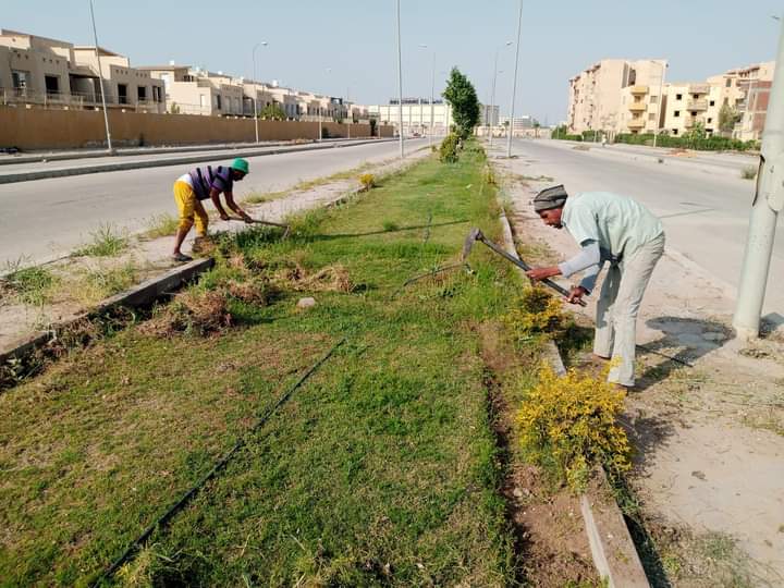 جهاز حدائق اكتوبر يرفع كفاءة المسطحات الخضراء في الطرق الرئيسية والمشروعات السكنية بالمدينة