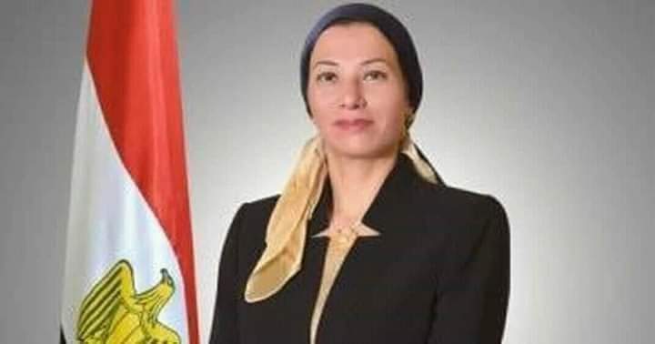الزملوط: إنطلاق المبادرة القومية للتشجير لمكافحة التصحر من الوادى الجديد 