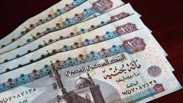 عاجل.. موعد زيادة أجور العاملين بالدولة 