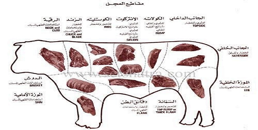 اسماء قطع اللحم 