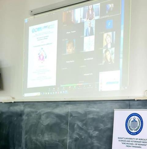 First slide