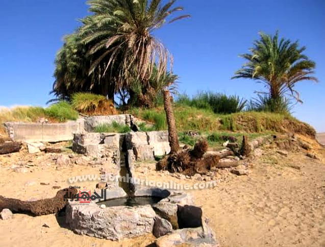 بئر السرو