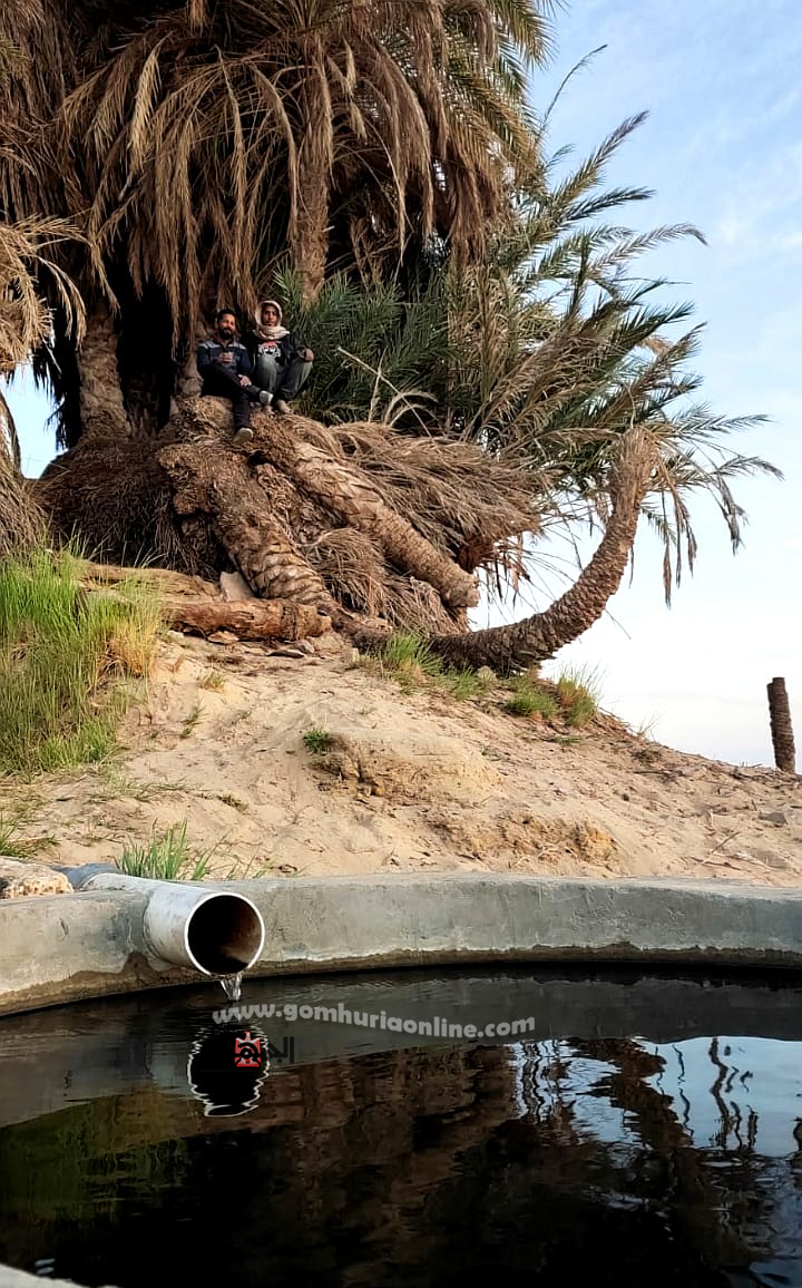 عجائب 