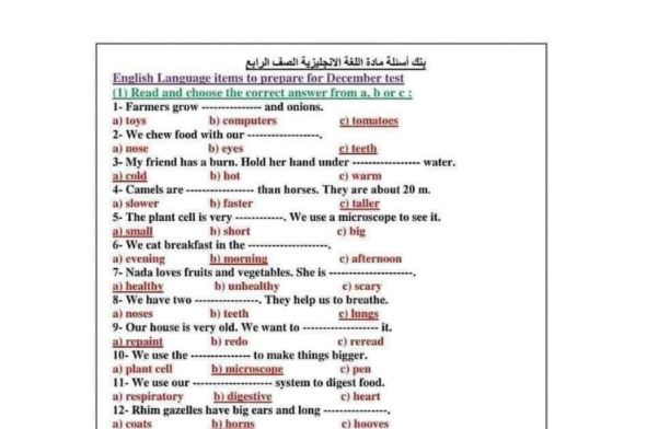 مراجعة نهائية