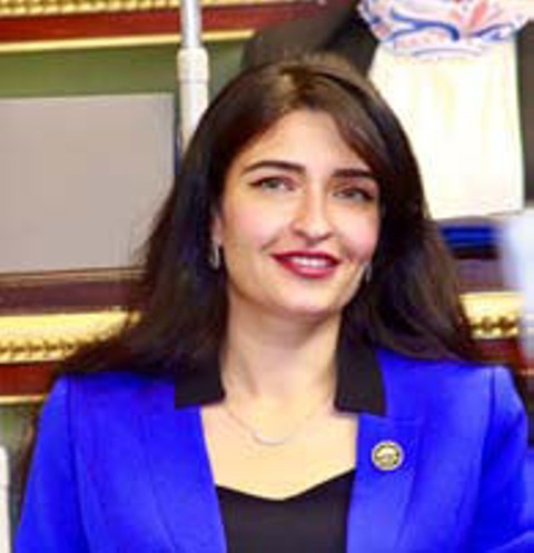 النائبة إيرين سعيد