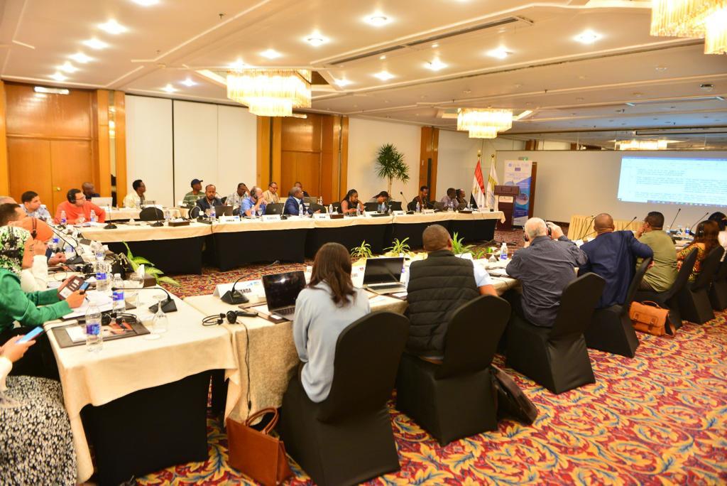 وزير الطيران : ضرورة مواصلة الجهود من أجل تطوير قطاع النقل الجوي