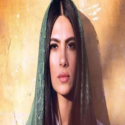 هدي المفتي