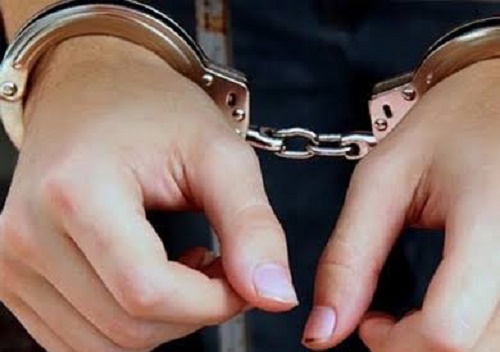 المشدد 5 سنوات لمسؤول شركة توريدات بقليوب
