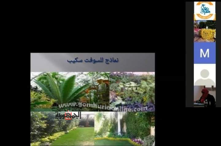 First slide