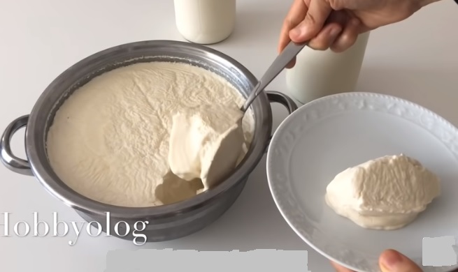 اخطاء بسيطة لا نعرفها تفسد طريقة عمل الزبادى بالفيديو 