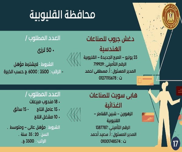 منها لذوي الهمم.. وزارة العمل توفر 3261 وظيفة خالية بـ 13 محافظة