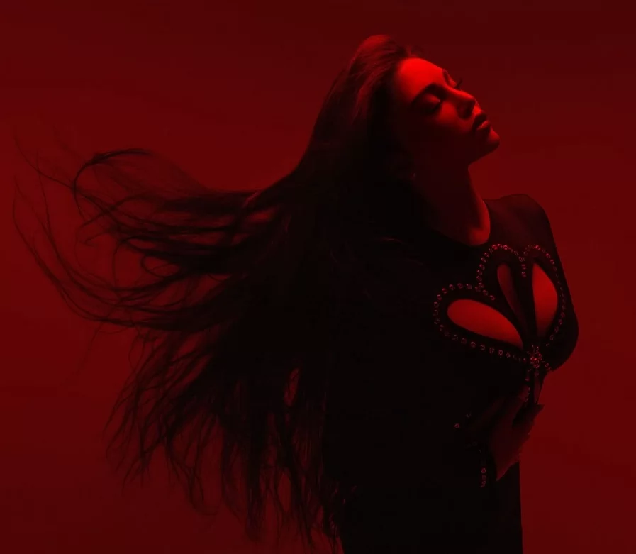 النجمة اللبنانية هيفاء وهبي