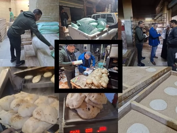 الدكنور تامر صلاح وكيل وزارة التموين بالقليوبية