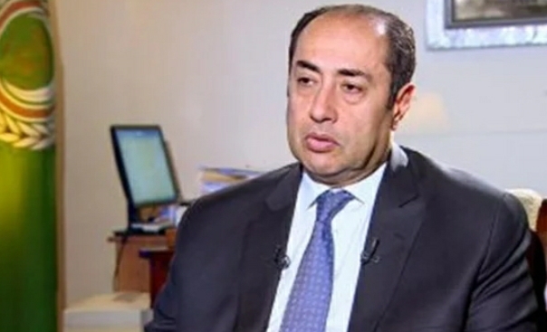 السفير حسام زكي