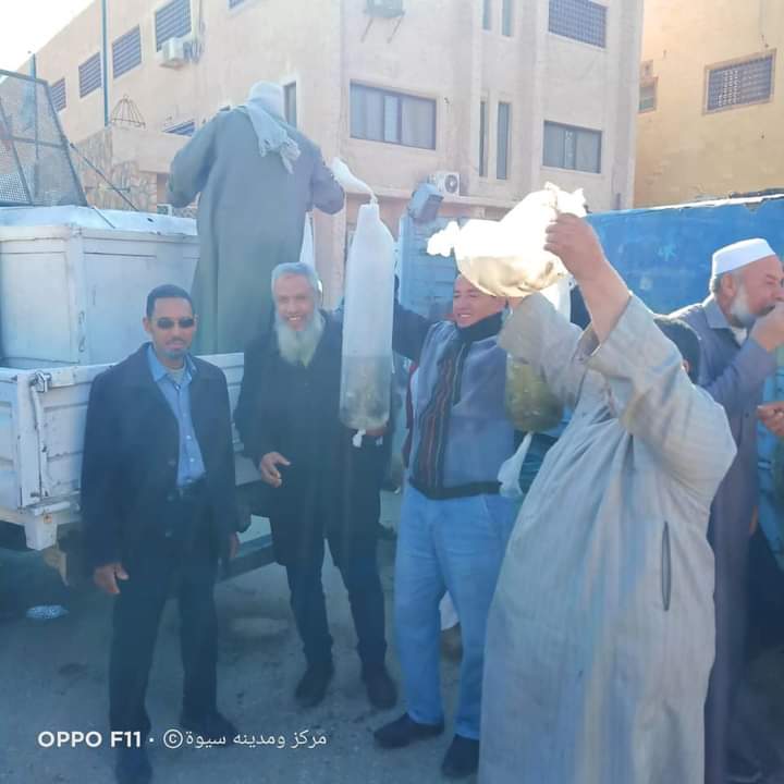 الثروة السمكية تدعم سيوة بمليون ذريعة سمكية من العائلة البورية 