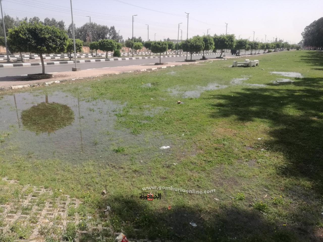 رئيس حي ثان الإسماعيلية يتفقد المسطحات الخضراء..