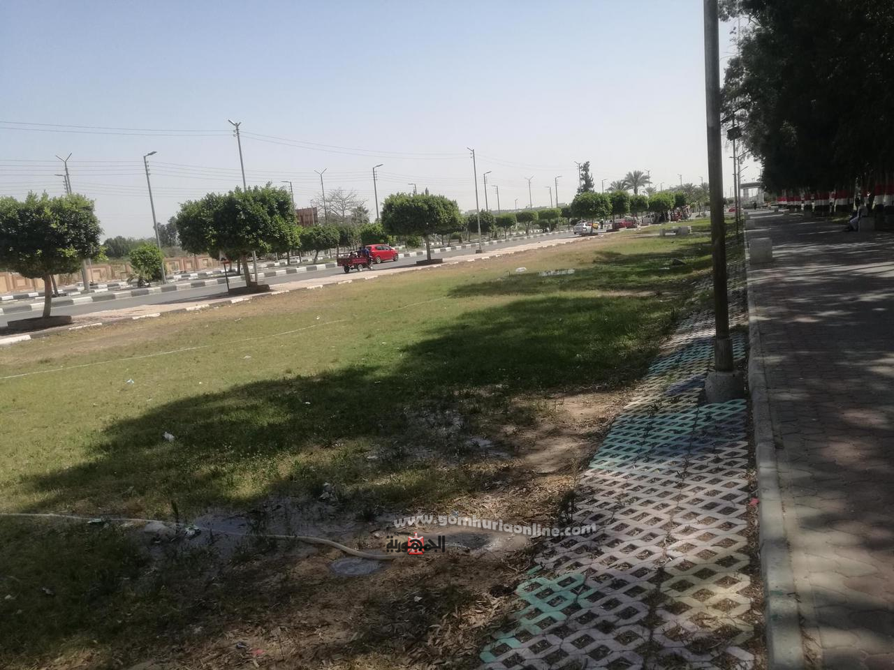 رئيس حي ثان الإسماعيلية يتفقد المسطحات الخضراء..