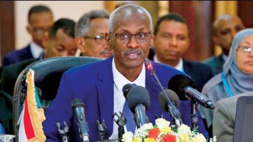 وزير الري السوداني 
