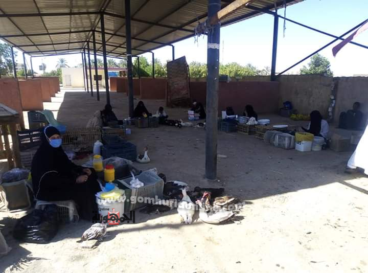 إعادة فتح أسواق الخضر والمنتجات تدريجيا وسط إجراءات وقائية بالوادى الجديد.صور