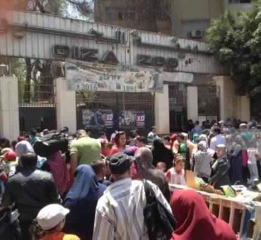 حديقة الحيوان تشكو  الاهمال