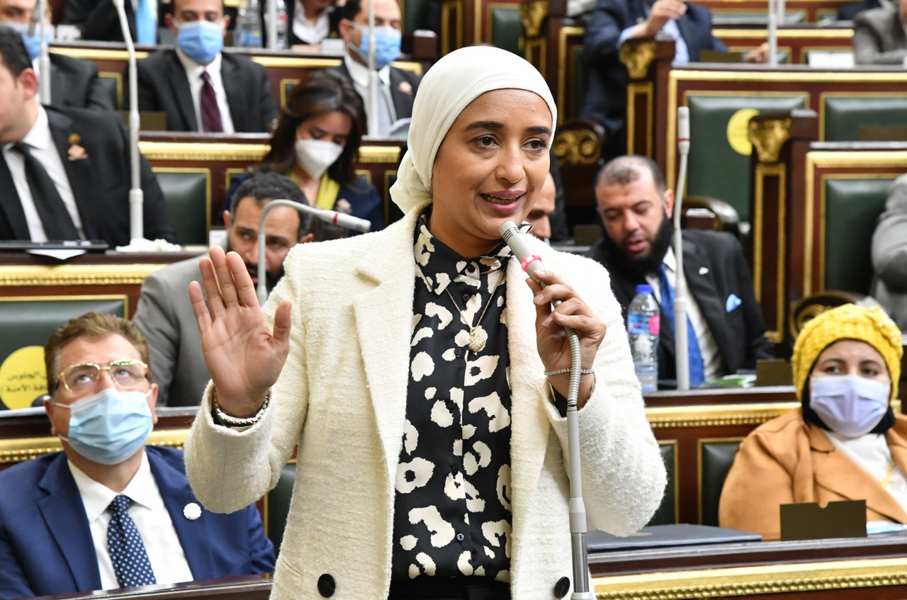 النائبة أميرة أبو شقة