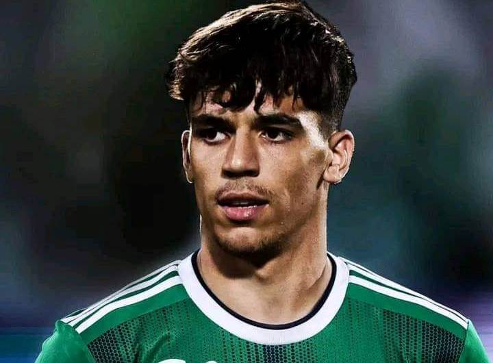 جابرييل فيجا