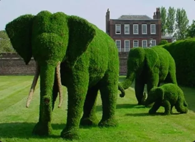 نظرة الشريعة لتهذيب الأشجار على هيئة حيوانات أو شخصيات كرتونية 