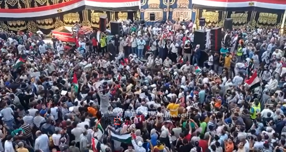 جانب من مظاهرات المنوفية بشبين الكوم