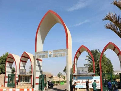 جامعة أسوان