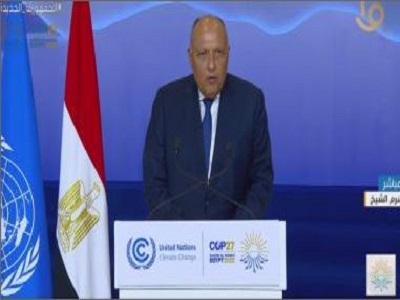 سامح شكرى وزير الخارجية