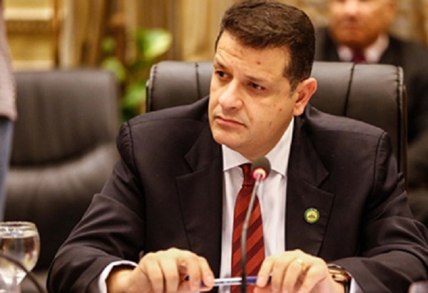 النائب طارق رضوان عضو مجلس النواب