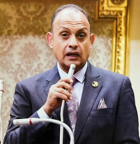 النائب هشام الجاهل