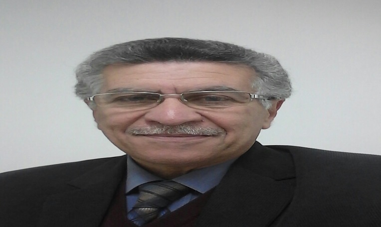 الدكتور أحمد صلاح أستاذ التخطيط العمراني
