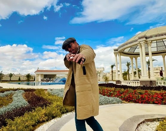 الفنان محمود حجازى