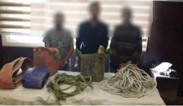  أمن القاهرة: ضبط 7 أشخاص لقيامهم بالتنقيب عن الآثار وضبط آخر بحوزته قطع أثرية بقصد الإتجار 