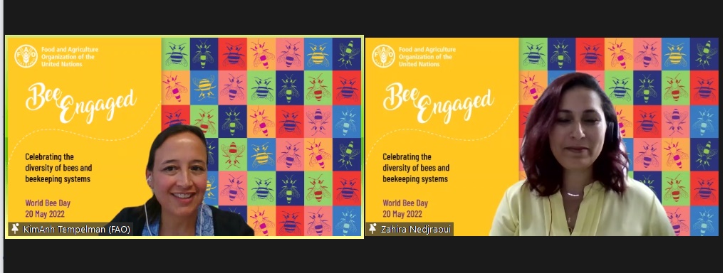 زهيرة نجراوي رئيسومؤسس جمعية تربية النحل فى الإمارات خلال كلمتها فى الإحتفال وعلى اليسار كيم أنا تمبليمان