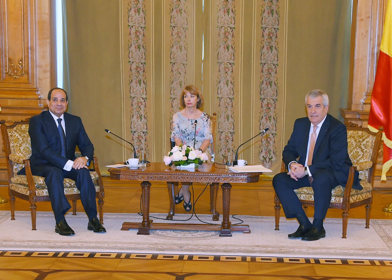 الرئيس عبدالفتاح السيسي ورئيس مجلس الشيوخ