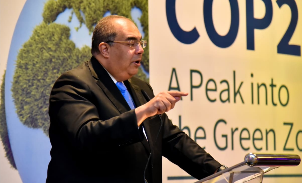 الدكتور محمود محيي الدين