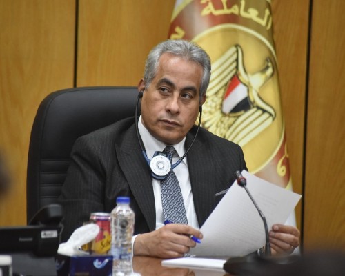 مصر تستعرض تجربتها الرائدة في 