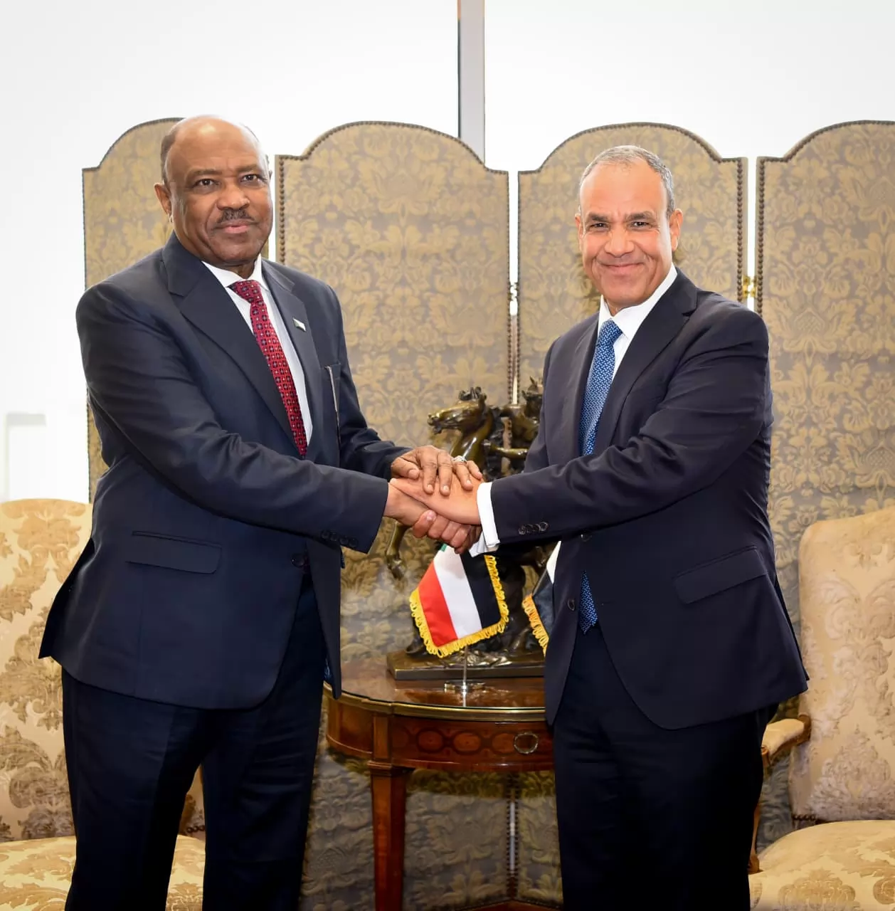 وزير الخارجية يؤكد رفض مصر محاولات تقسيم السودان والمساس بسيادتها