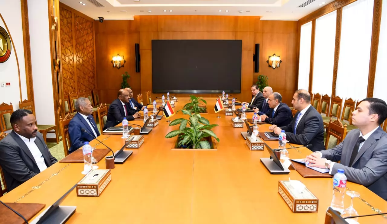 وزير الخارجية يؤكد رفض مصر محاولات تقسيم السودان والمساس بسيادتها