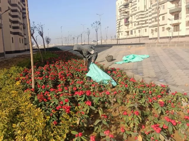 تعرف على أحدث مشروعات الزراعة والطرق والإنارة فى العبور الجديدة..