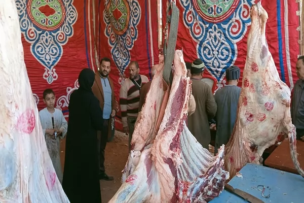 وكيل التعليم بأسيوط يتفقد معرض منتجات المدارس الزراعية 